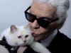 El ADIÓS definitivo de CHANEL a KARL LAGERFELD