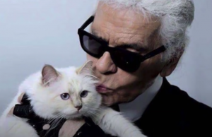 El ADIÓS definitivo de CHANEL a KARL LAGERFELD